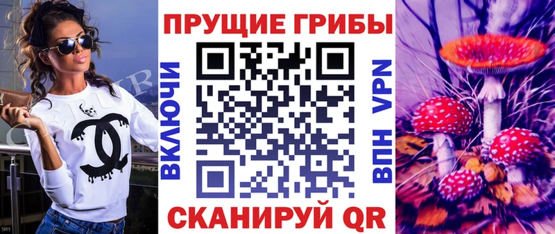 Галлюциногенные грибы мицелий  Купить  Лесозаводск 